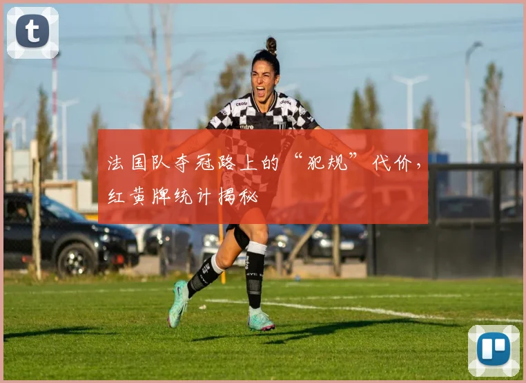 法国队夺冠路上的“犯规”代价，红黄牌统计揭秘